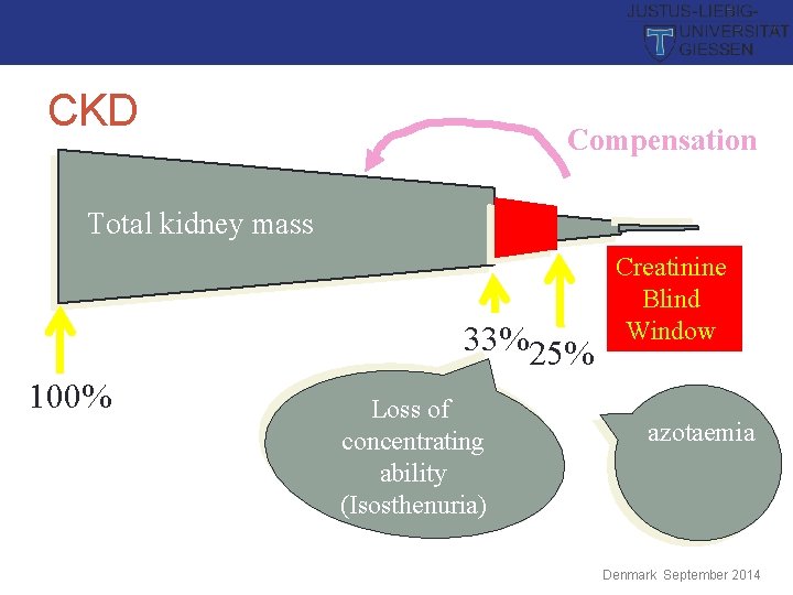 CKD Compensation Total kidney mass 33%25% 100% Loss of concentrating ability (Isosthenuria) Creatinine Blind