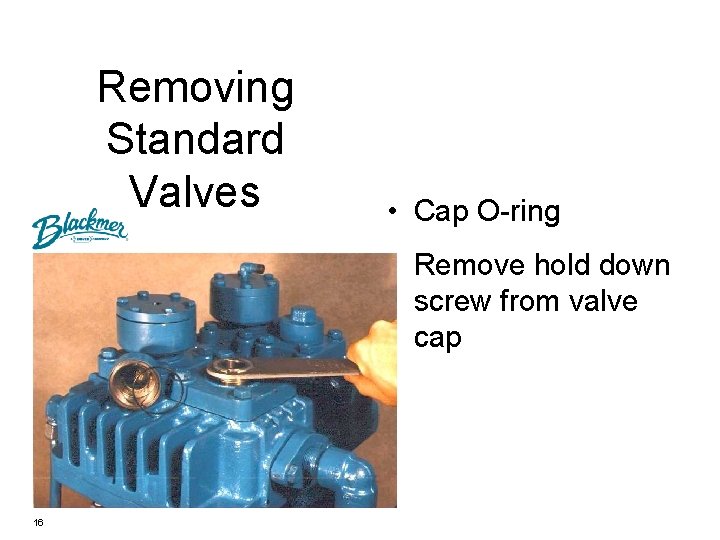 Removing Standard Valves • Cap O-ring • Remove hold down screw from valve cap