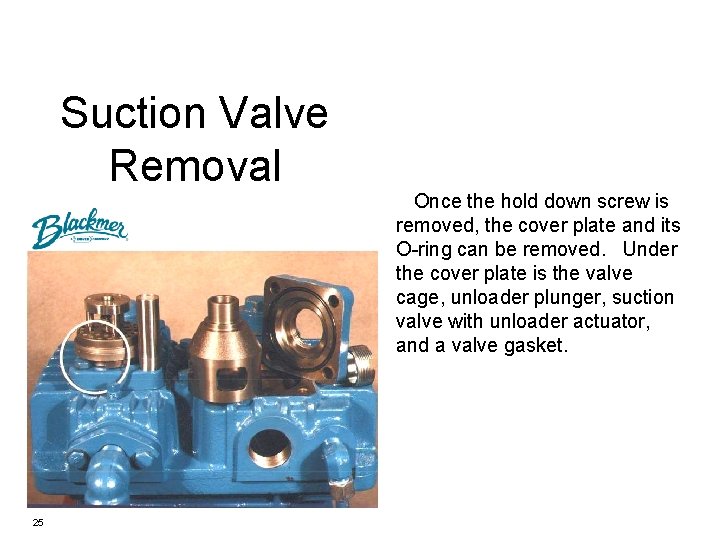 Suction Valve Removal Once the hold down screw is removed, the cover plate and