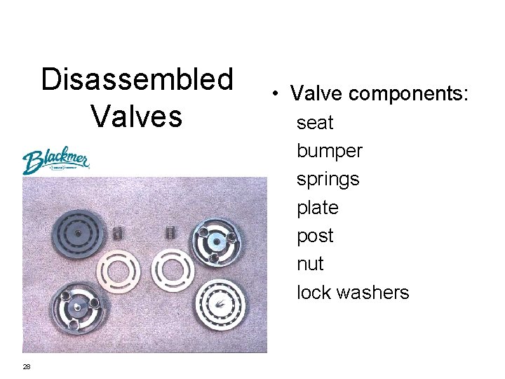 Disassembled Valves 28 • Valve components: seat bumper springs plate post nut lock washers