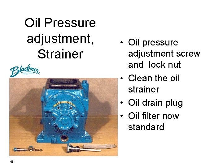 Oil Pressure adjustment, Strainer 48 • Oil pressure adjustment screw and lock nut •