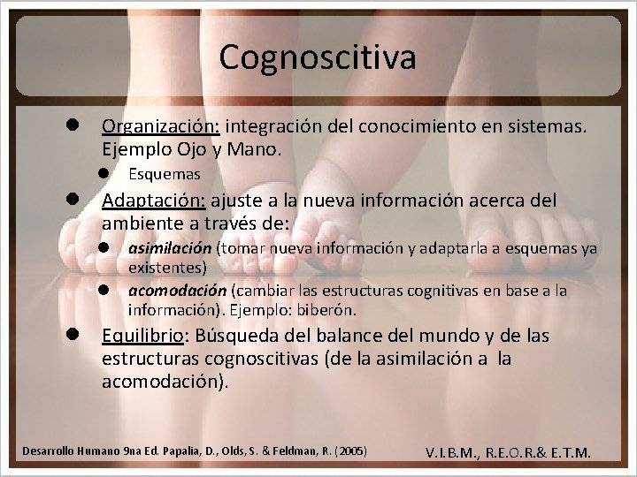 Cognoscitiva l Organización: integración del conocimiento en sistemas. Ejemplo Ojo y Mano. l Esquemas