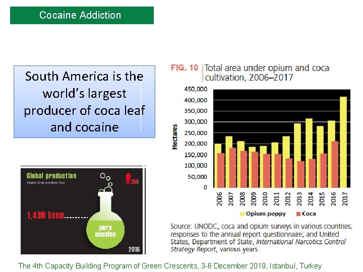 Cocaine Addiction South America is the world’s largest producer of coca leaf and cocaine