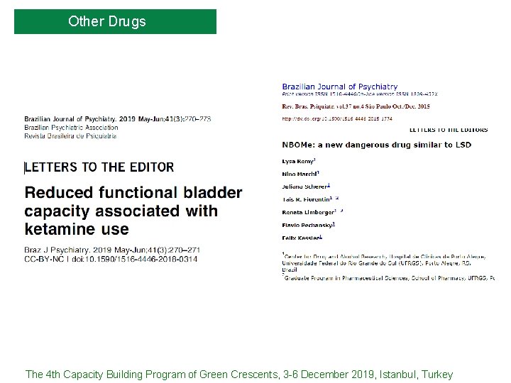 Other Drugs The 4 th Capacity Building Program of Green Crescents, 3 -6 December