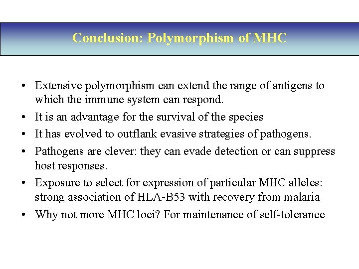 Conclusion: Polymorphism of MHC • Extensive polymorphism can extend the range of antigens to