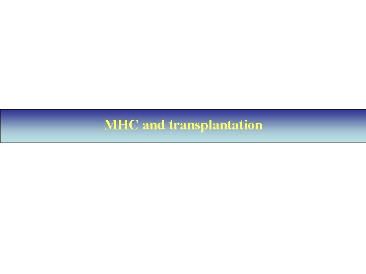 MHC and transplantation 