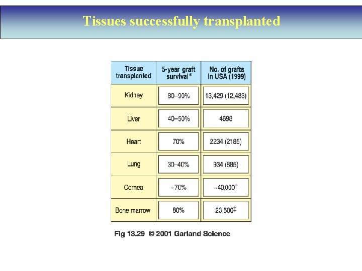 Tissues successfully transplanted 