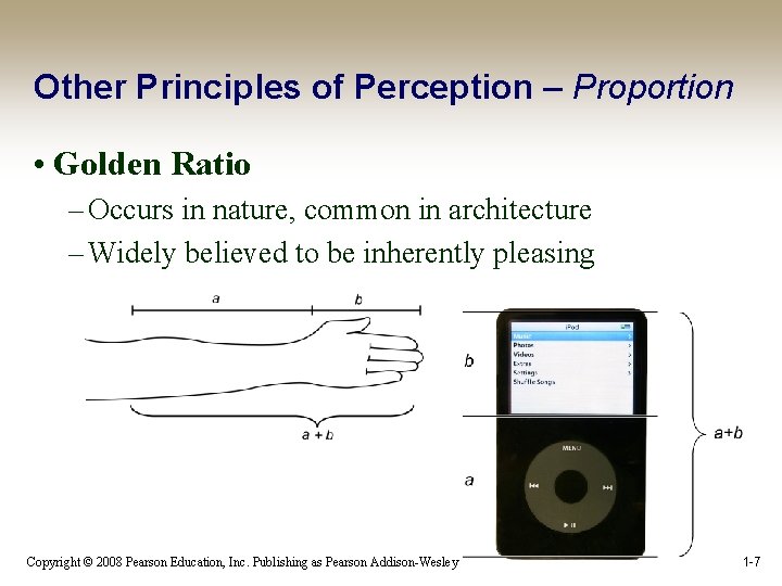 Other Principles of Perception – Proportion • Golden Ratio – Occurs in nature, common