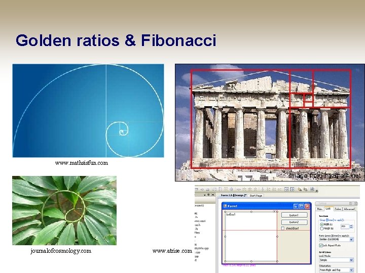 Golden ratios & Fibonacci www. mathsisfun. com journalofcosmology. com www. atrise. com Copyright ©