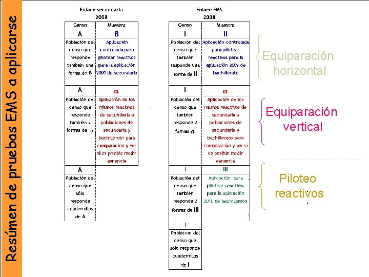 Resúmen de pruebas EMS a aplicarse Equiparación horizontal Equiparación vertical Piloteo reactivos 