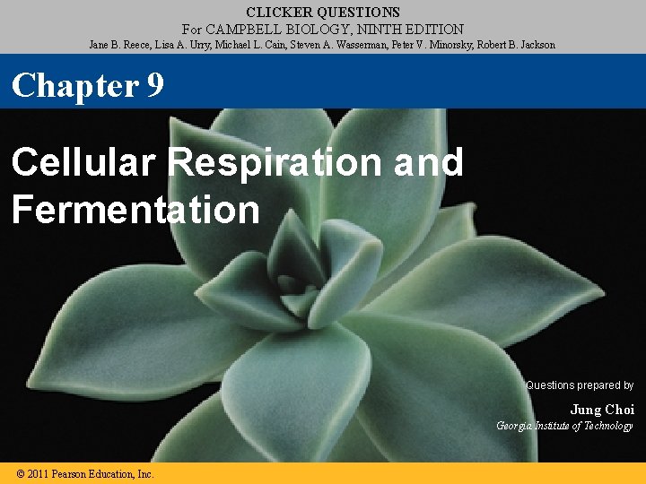 CLICKER QUESTIONS For CAMPBELL BIOLOGY, NINTH EDITION Jane B. Reece, Lisa A. Urry, Michael