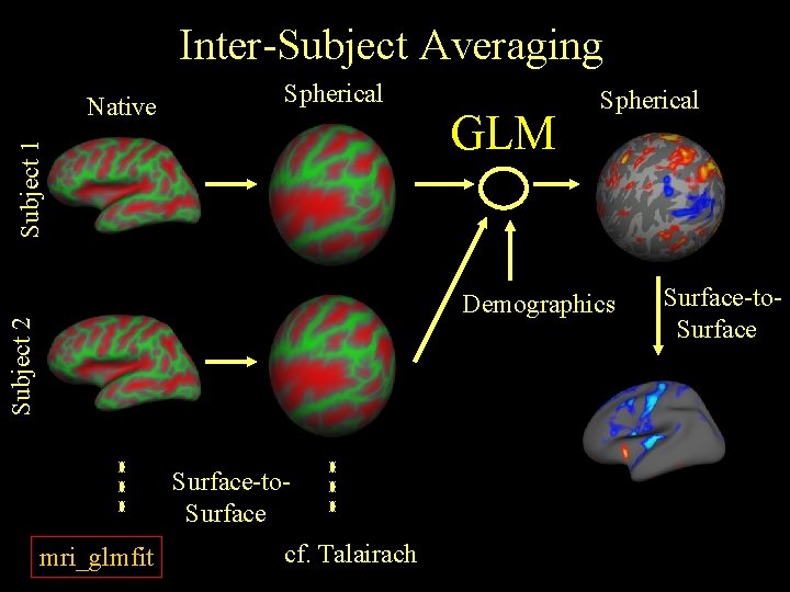 Inter-Subject Averaging Spherical Subject 1 Native GLM Spherical Subject 2 Demographics Surface-to. Surface mri_glmfit