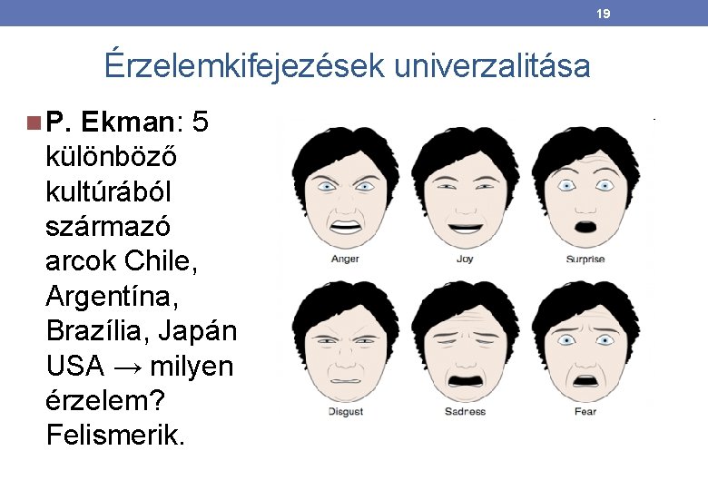 19 Érzelemkifejezések univerzalitása P. Ekman: 5 különböző kultúrából származó arcok Chile, Argentína, Brazília, Japán