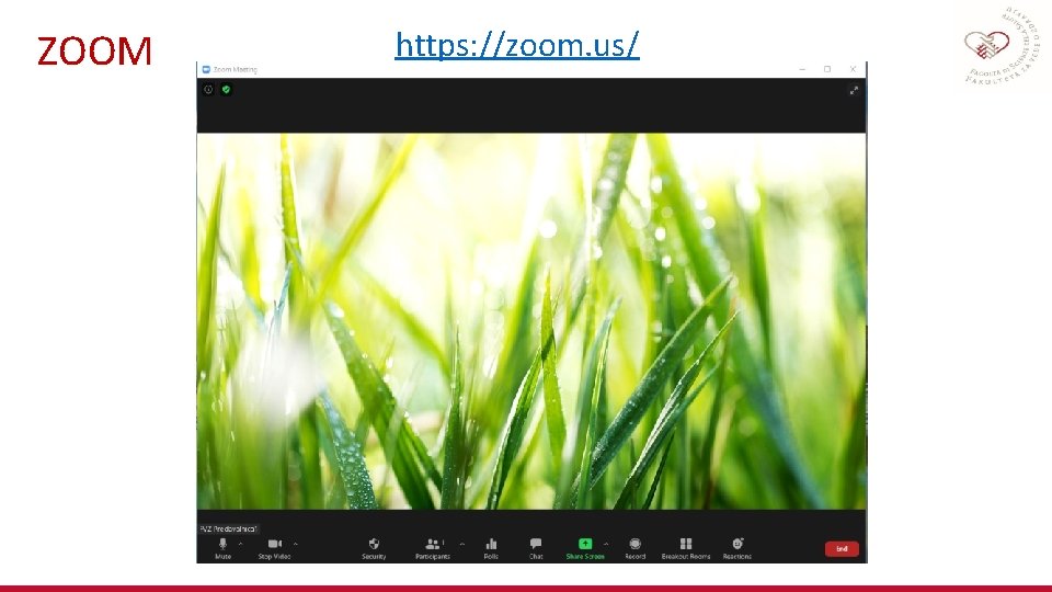 ZOOM https: //zoom. us/ 