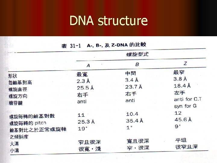 DNA structure 