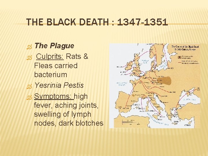 THE BLACK DEATH : 1347 -1351 The Plague Culprits: Rats & Fleas carried bacterium