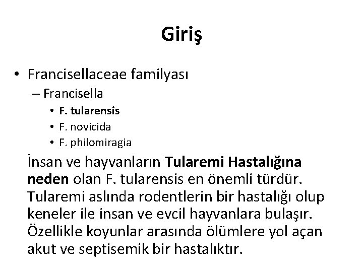 Giriş • Francisellaceae familyası – Francisella • F. tularensis • F. novicida • F.