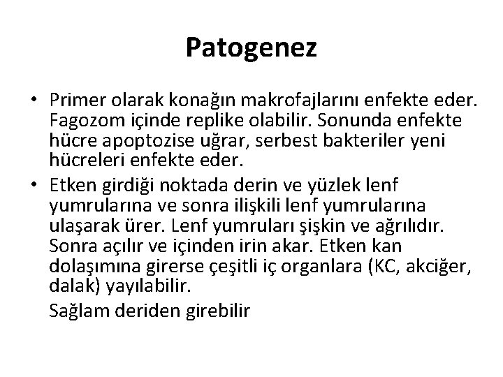 Patogenez • Primer olarak konağın makrofajlarını enfekte eder. Fagozom içinde replike olabilir. Sonunda enfekte