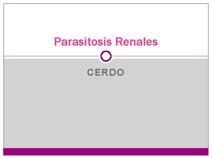 Parasitosis Renales CERDO 