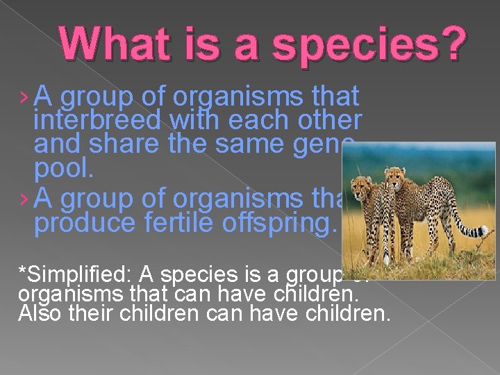 What is a species? › A group of organisms that interbreed with each other