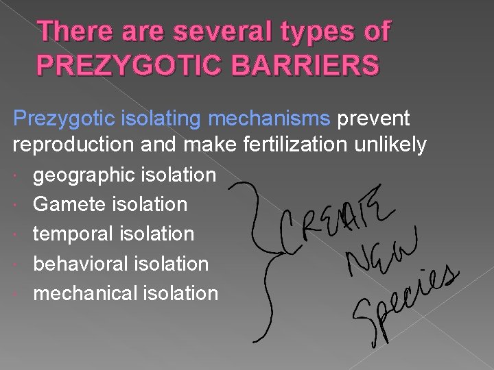 There are several types of PREZYGOTIC BARRIERS Prezygotic isolating mechanisms prevent reproduction and make