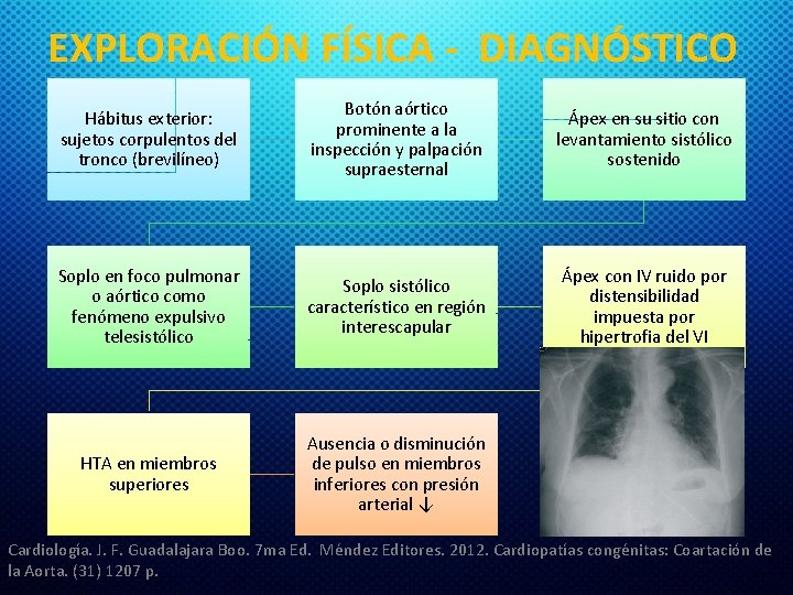 EXPLORACIÓN FÍSICA - DIAGNÓSTICO Hábitus exterior: sujetos corpulentos del tronco (brevilíneo) Botón aórtico prominente