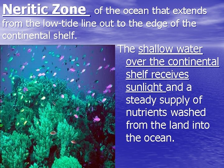 Neritic Zone of the ocean that extends from the low-tide line out to the