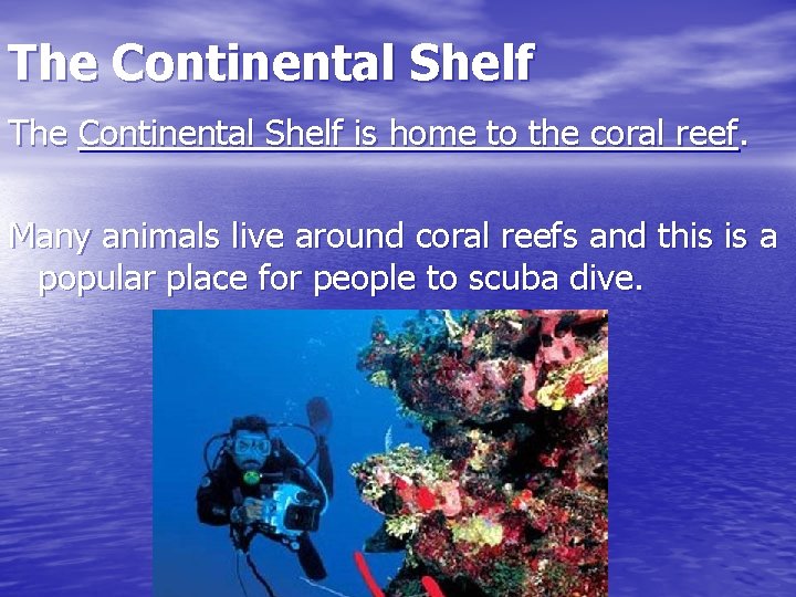 The Continental Shelf is home to the coral reef. Many animals live around coral