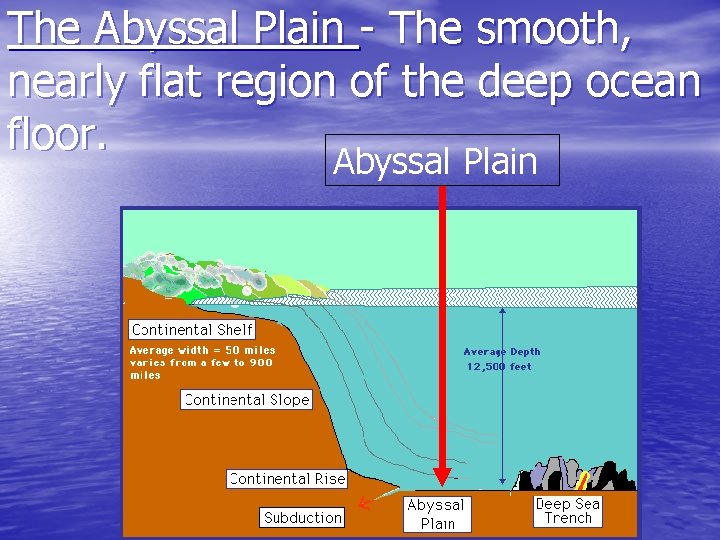 The Abyssal Plain - The smooth, nearly flat region of the deep ocean floor.