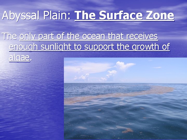 Abyssal Plain: The Surface Zone The only part of the ocean that receives enough