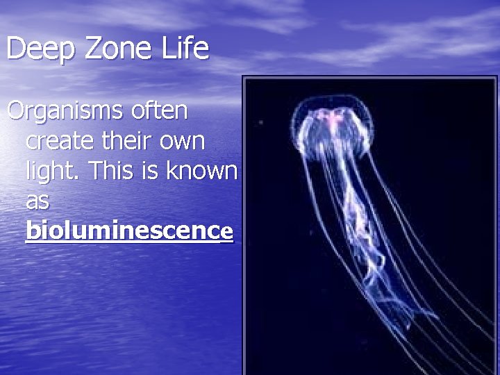 Deep Zone Life Organisms often create their own light. This is known as bioluminescence