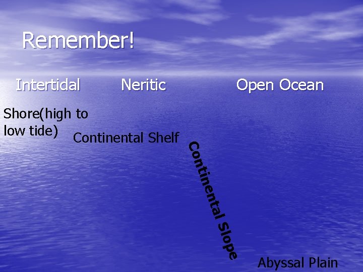 Remember! Intertidal Neritic Open Ocean l Sl nta tine Con Shore(high to low tide)