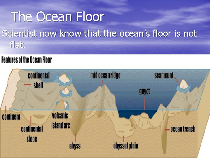 The Ocean Floor Scientist now know that the ocean’s floor is not flat. 
