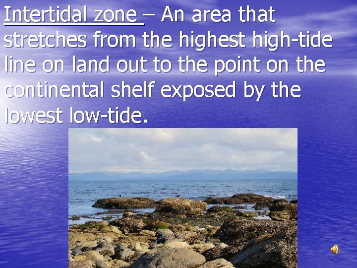 Intertidal zone – An area that stretches from the highest high-tide line on land