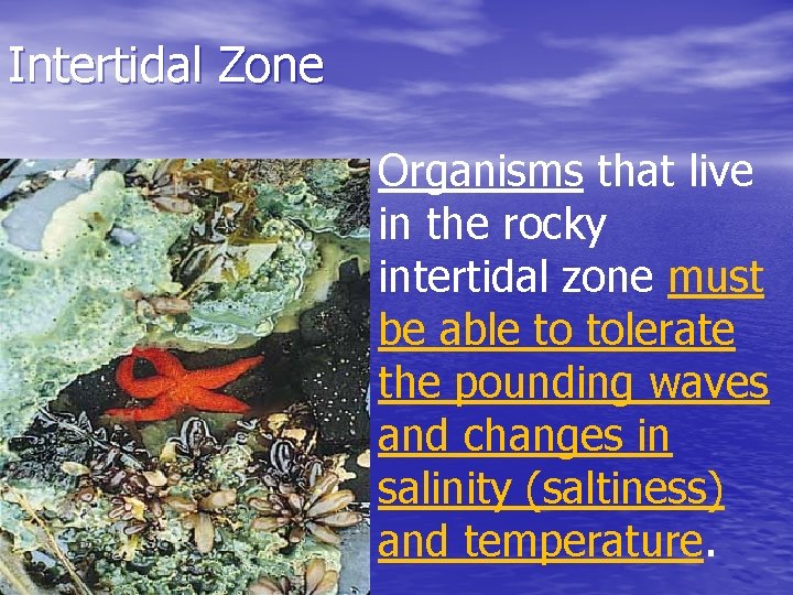 Intertidal Zone Organisms that live in the rocky intertidal zone must be able to