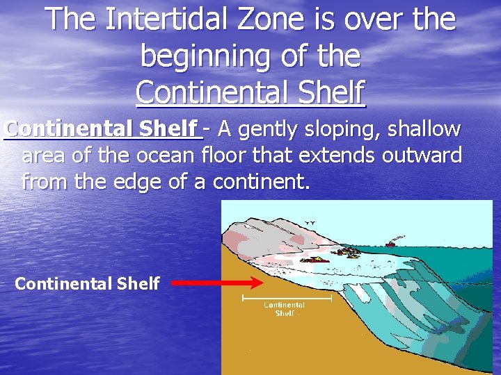 The Intertidal Zone is over the beginning of the Continental Shelf - A gently