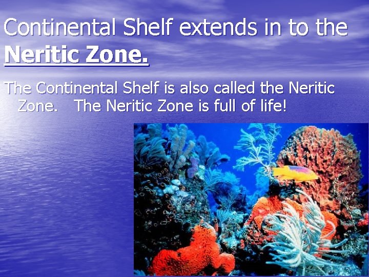 Continental Shelf extends in to the Neritic Zone. The Continental Shelf is also called