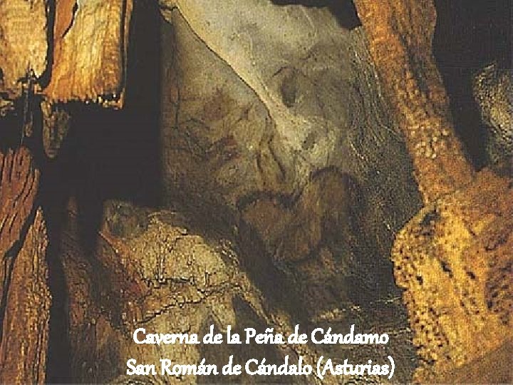 Caverna de la Peña de Cándamo San Román de Cándalo (Asturias) 