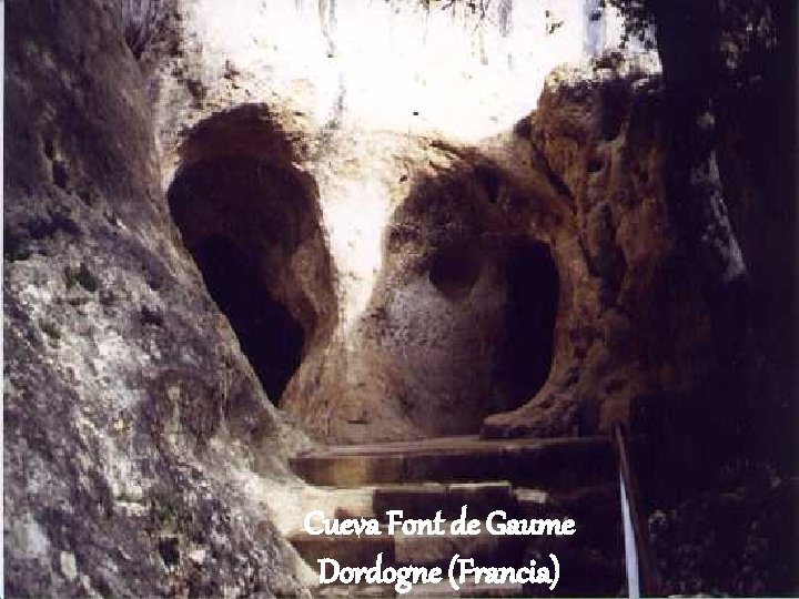 Cueva Font de Gaume Dordogne (Francia) 