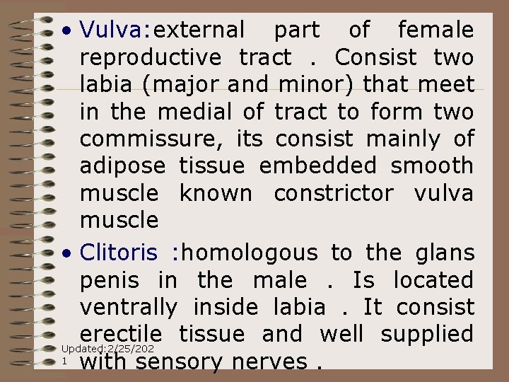  • Vulva: external part of female reproductive tract. Consist two labia (major and