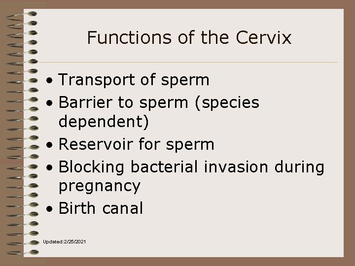 Functions of the Cervix • Transport of sperm • Barrier to sperm (species dependent)
