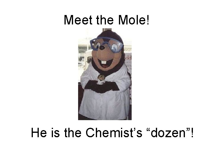 Meet the Mole! He is the Chemist’s “dozen”! 