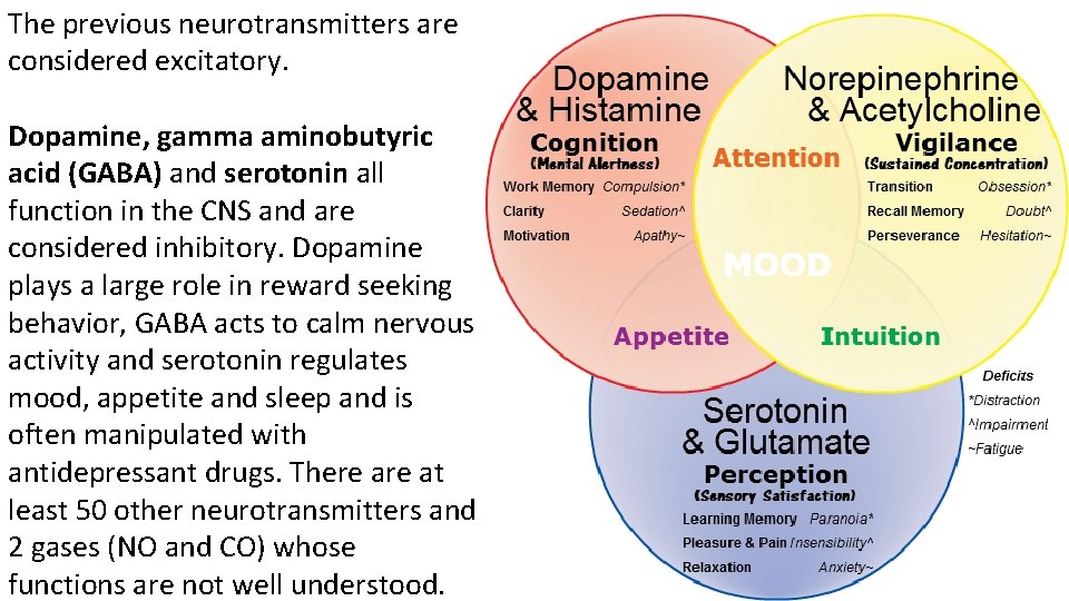 The previous neurotransmitters are considered excitatory. Dopamine, gamma aminobutyric acid (GABA) and serotonin all