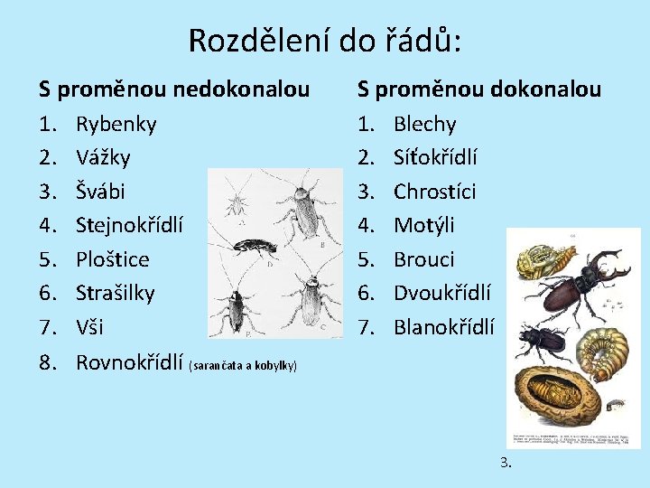 Rozdělení do řádů: S proměnou nedokonalou S proměnou dokonalou 1. 2. 3. 4. 5.