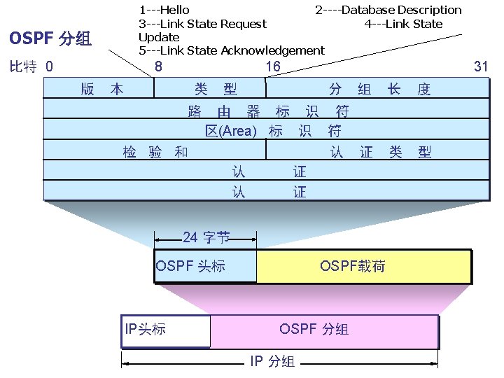 1 ---Hello 2 ----Database Description 3 ---Link State Request 4 ---Link State Update 5