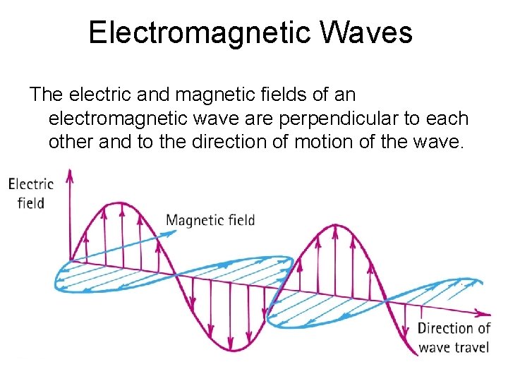 Electromagnetic Waves The electric and magnetic fields of an electromagnetic wave are perpendicular to
