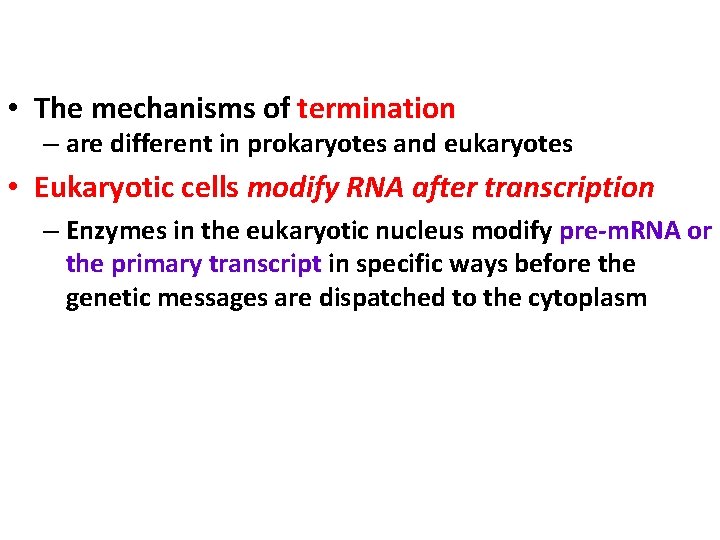  • The mechanisms of termination – are different in prokaryotes and eukaryotes •