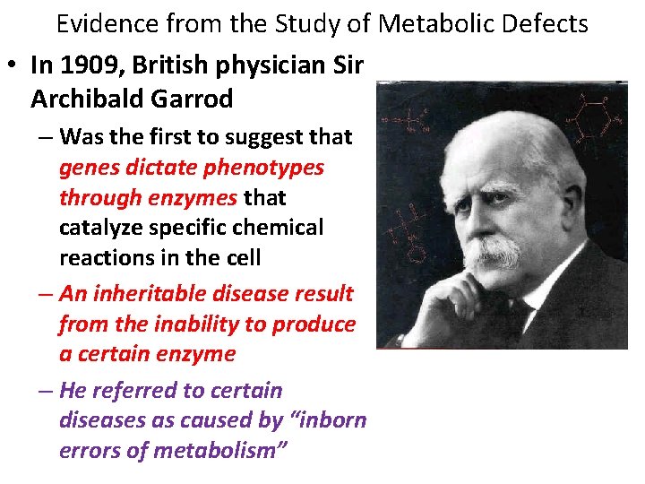 Evidence from the Study of Metabolic Defects • In 1909, British physician Sir Archibald