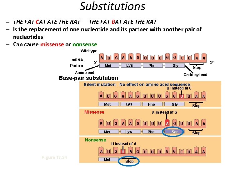 Substitutions – THE FAT CAT ATE THE RAT THE FAT BAT ATE THE RAT