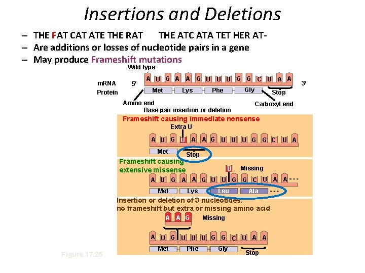 Insertions and Deletions – THE FAT CAT ATE THE RAT THE ATC ATA TET